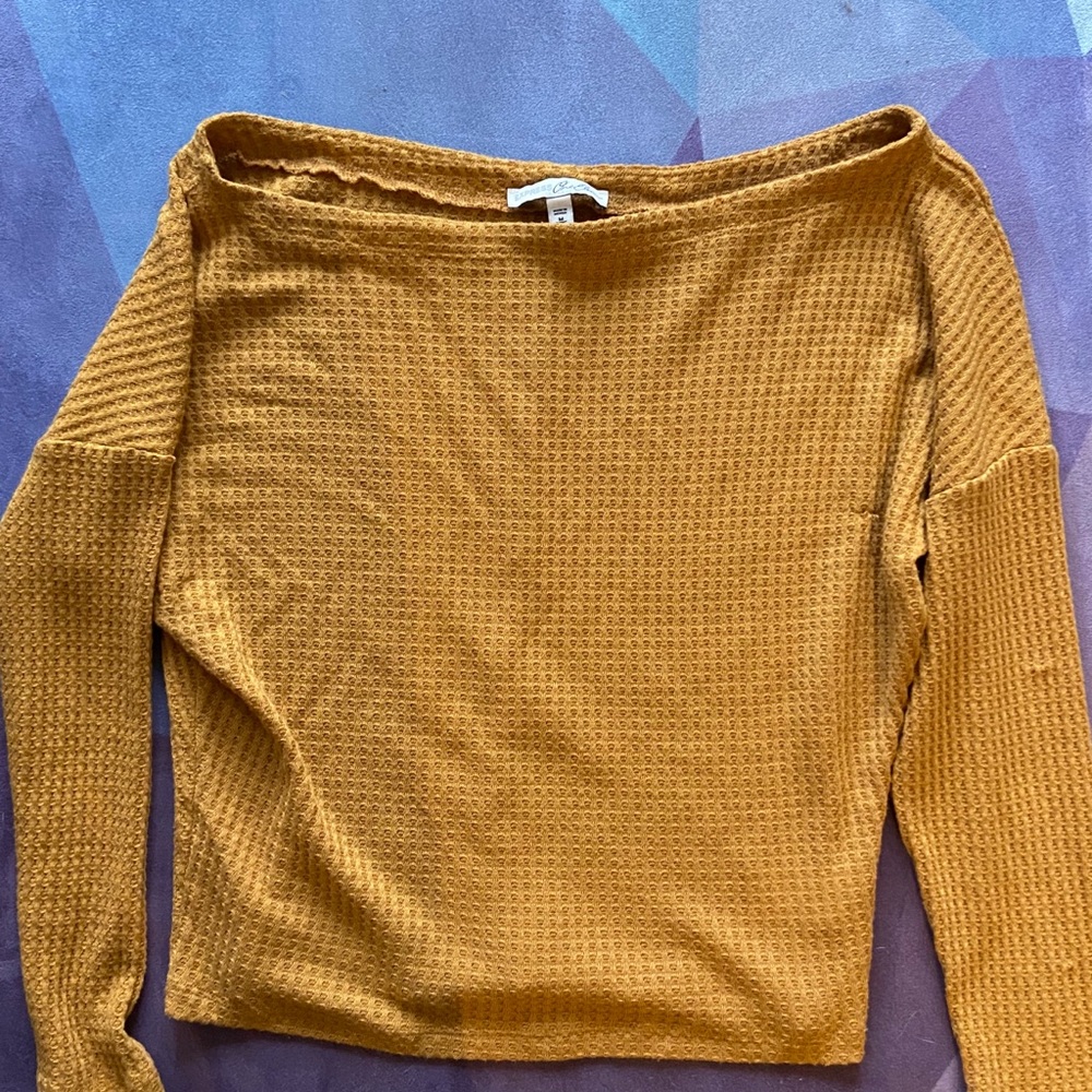 Express 3/4 length top